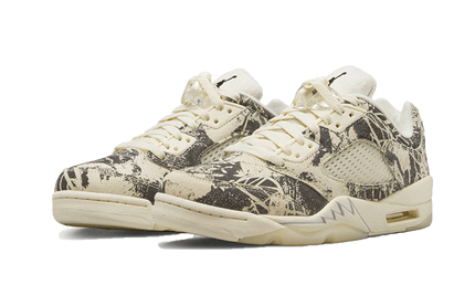 Air Jordan Air Jordan 5 Low Expression - DA8016-100