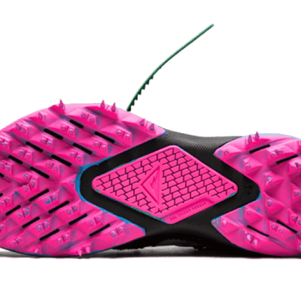 Nike Nike Zoom Terra Kiger 5 Off-White Black - CD8179-001