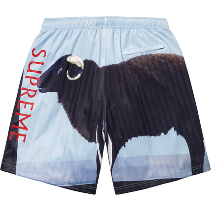 Supreme/Damien Hirst Soccer Short Black