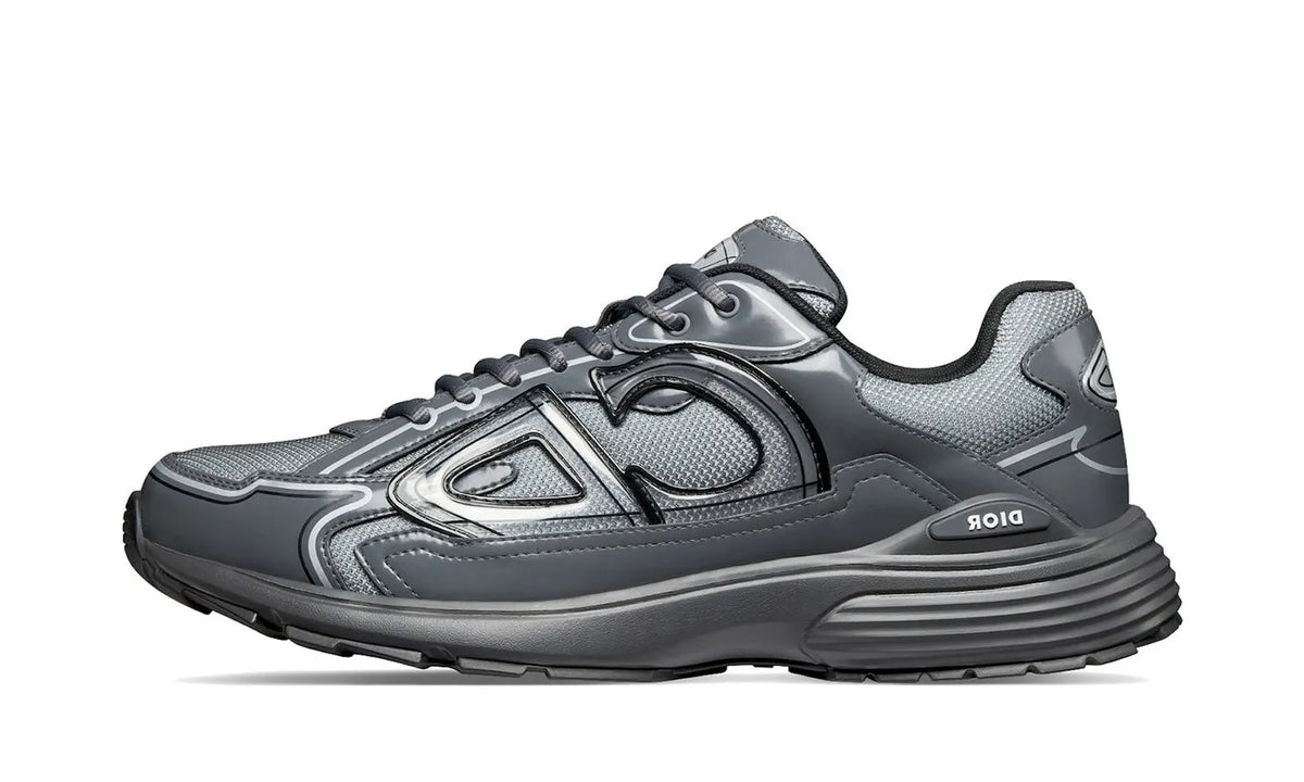 Dior B30 Light Gray Gray
