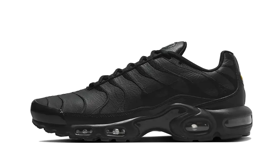 Nike Air Max Plus Dreifachschwarzes Leder