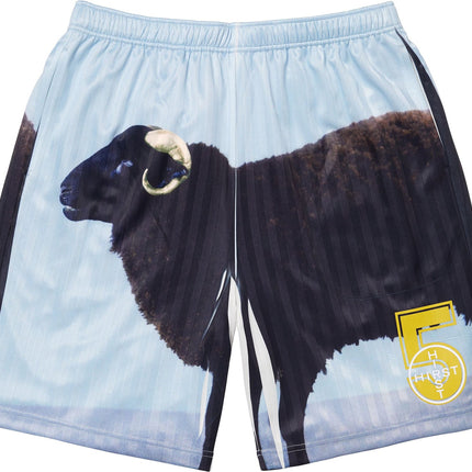 Supreme/Damien Hirst Soccer Short Black