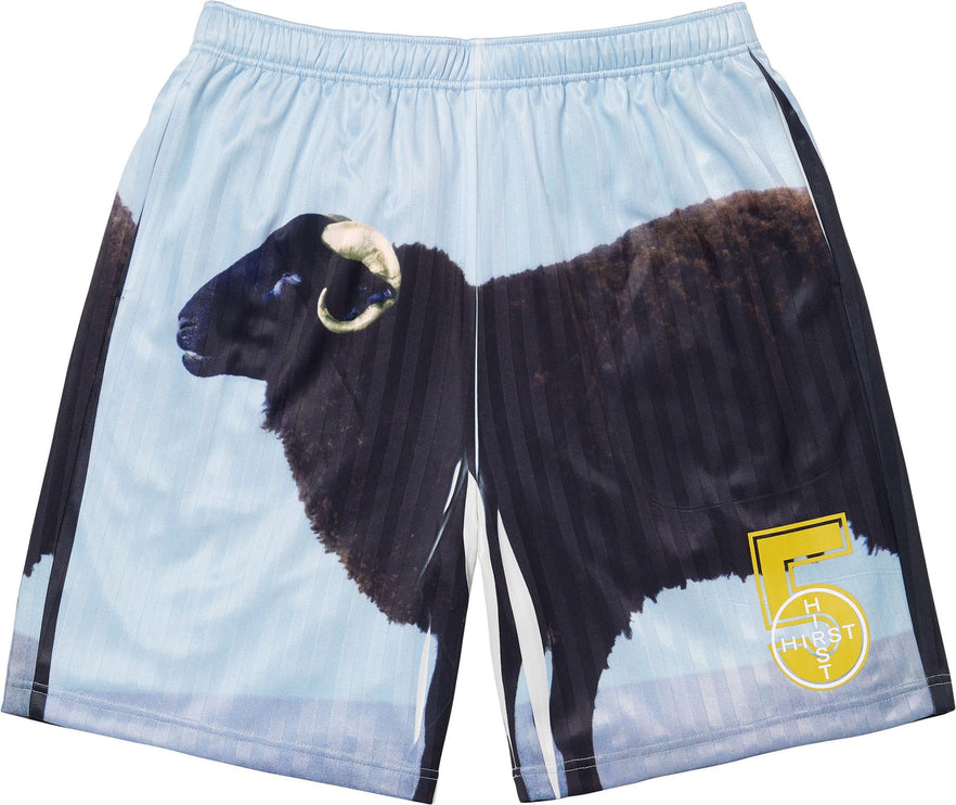 Supreme/Damien Hirst Soccer Short Black