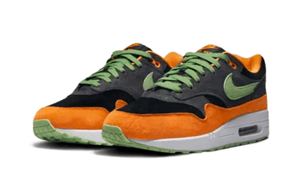 Nike Nike Air Max 1 PRM Duck Anthracite - DZ0482-001