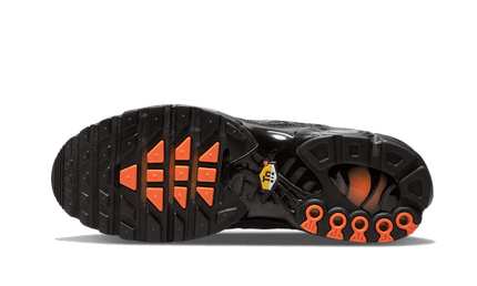 Nike Nike Air Max Plus 3D Swoosh Black - DR0138-001