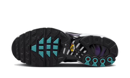 Nike Nike Air Max Plus Reverse Grape - FQ2415-500