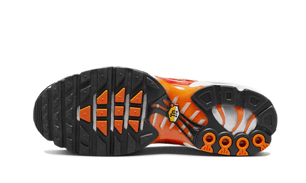 Nike Nike Air Max Plus Light Photography - DZ3531-600