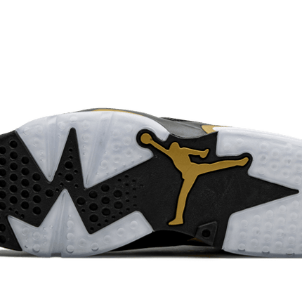 Air Jordan Air Jordan 6 Retro DMP - CT4954-007