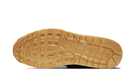 Nike Nike Air Max 1 SP Concepts Heavy - DN1803-900