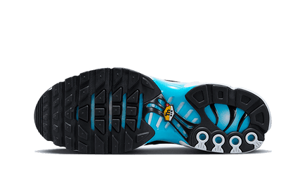 Nike Nike Air Max Plus Baltic Blue - FD9751-100