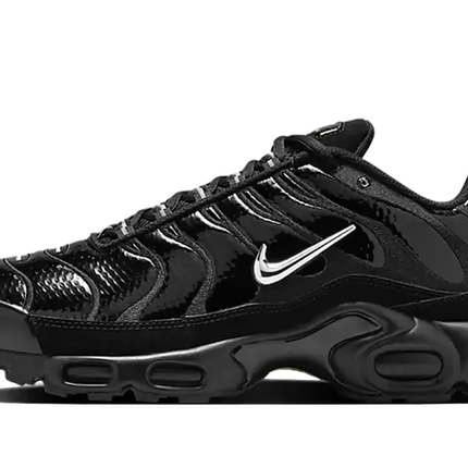 Nike Nike Air Max Plus Black Volt Silver - FJ2591-001