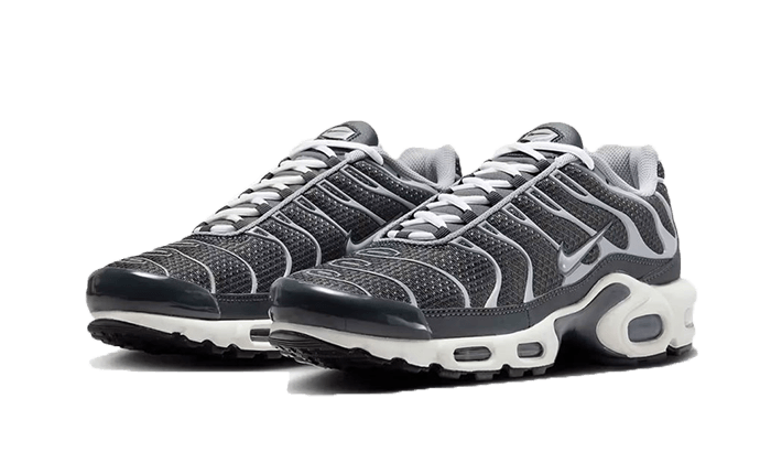 Nike Nike Air Max Plus SE Greyscale Cool Grey - DZ2655-001