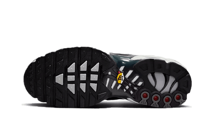 Nike Nike Air Max Plus SE Greyscale Cool Grey - DZ2655-001