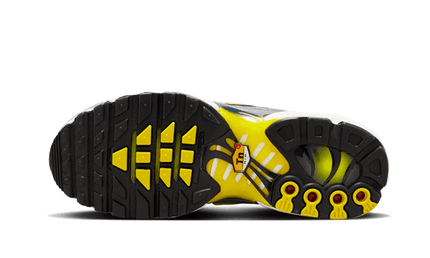 Nike Nike Air Max Plus Violet Dust - FN8007-500