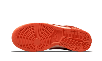 Nike Nike Dunk Low Winter Solstice - DO6723-800